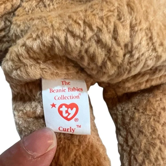 Ty “Curly” Brown Teddy Bear Beanir Babie Plush Toy W/Tag - Picture 4 of 5
